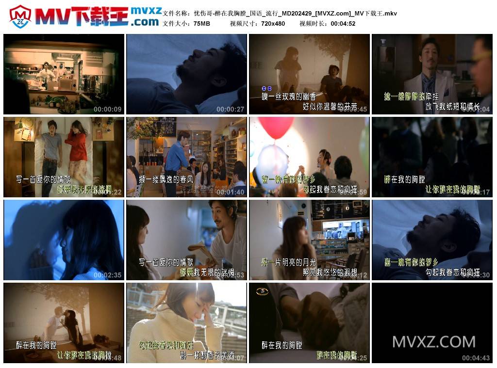 忧伤哥-醉在我胸膛_国语_流行_MD202429